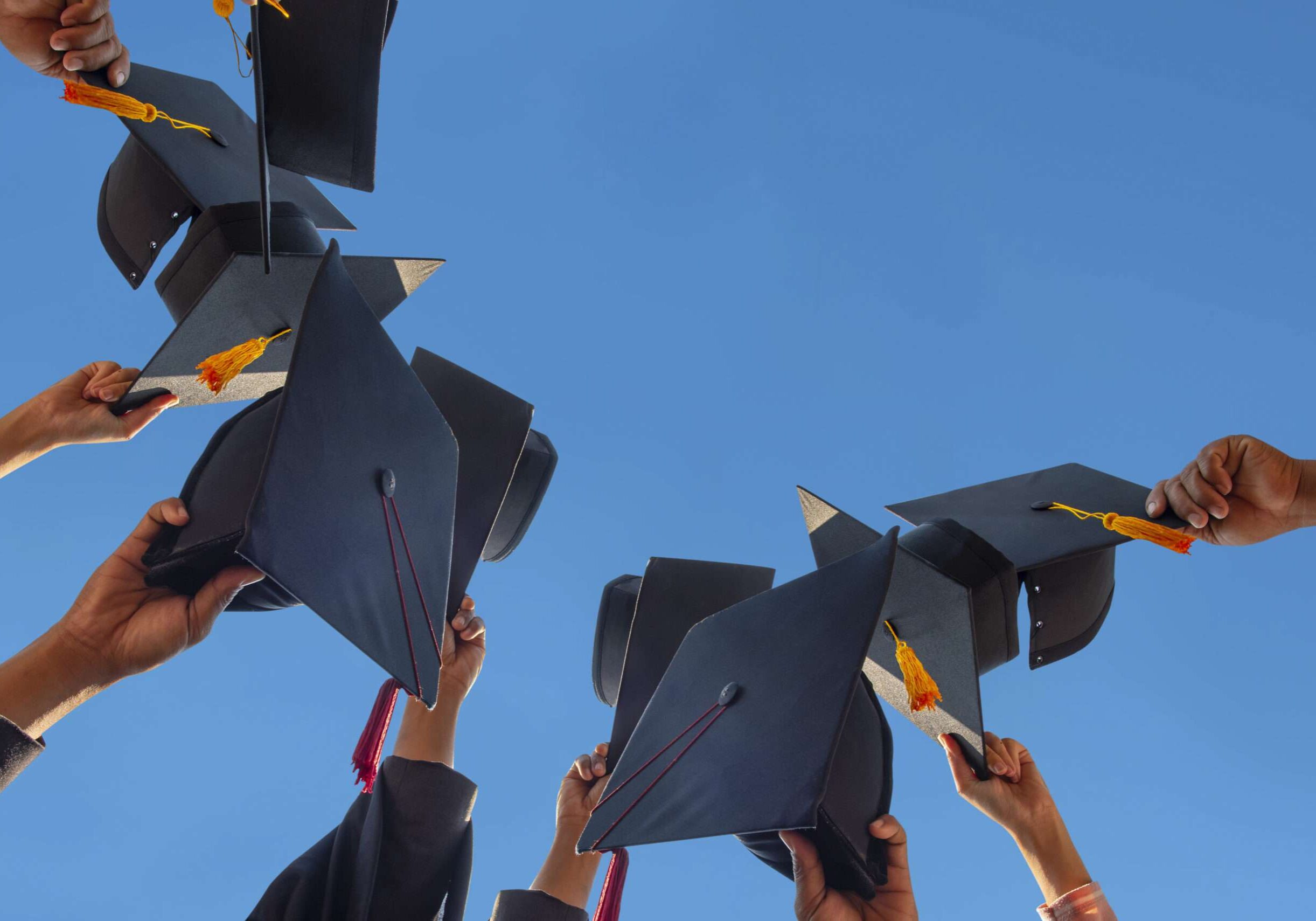 Village Tech graduation caps